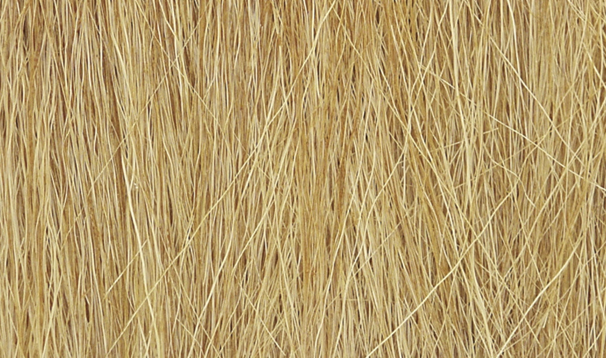 Field Grass Harvest Gold SKU: FG172