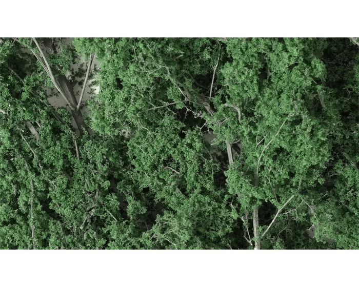 Woodland Scenics F1130 Fine-Leaf Foliage - Dark Green