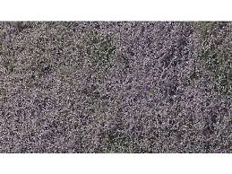 Woodland Scenics F177 -  Flowering foliage (Purple)